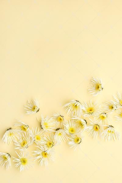 Detail Soft Yellow Background Nomer 27