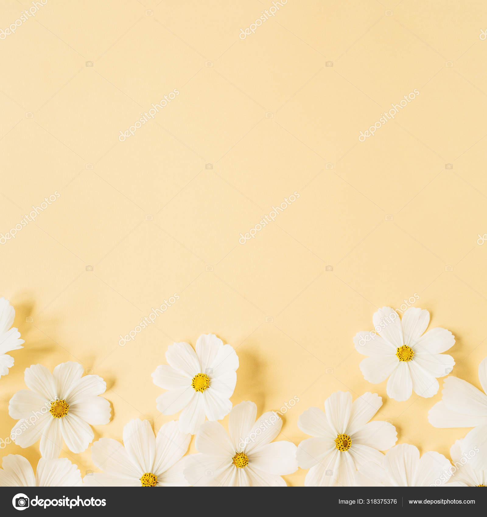 Detail Soft Yellow Background Nomer 57