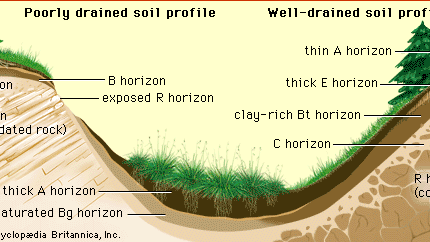 Detail Soil Image Nomer 25