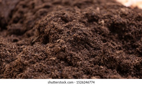 Detail Soil Image Nomer 4