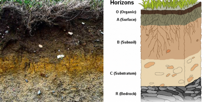 Detail Soil Image Nomer 46