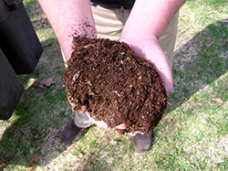Detail Soil Image Nomer 49