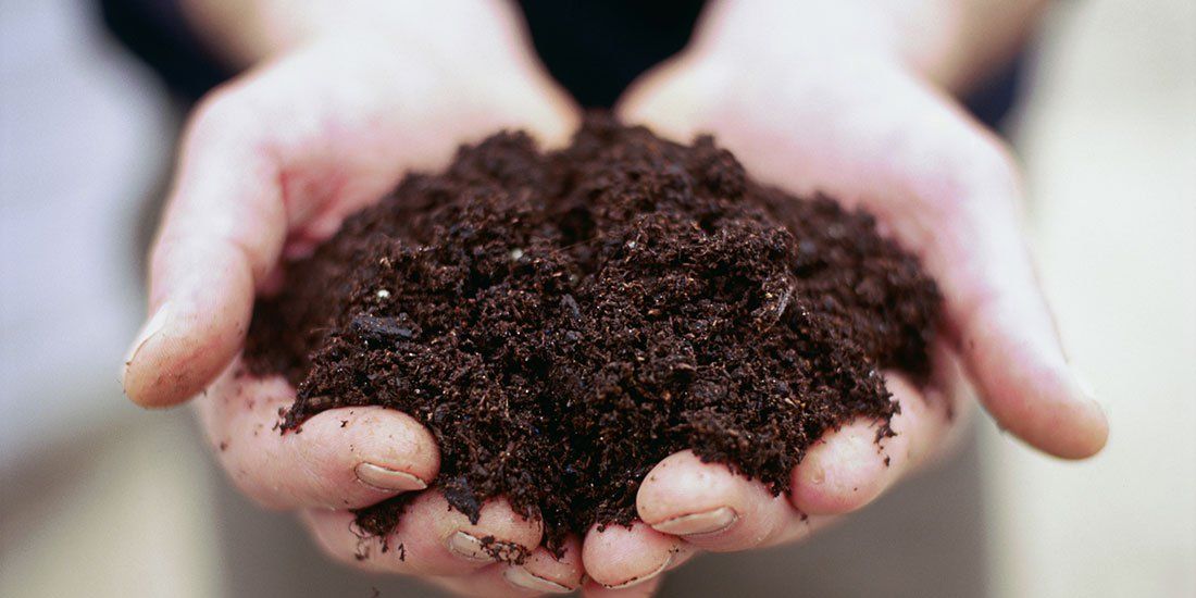 Detail Soil Images Nomer 2