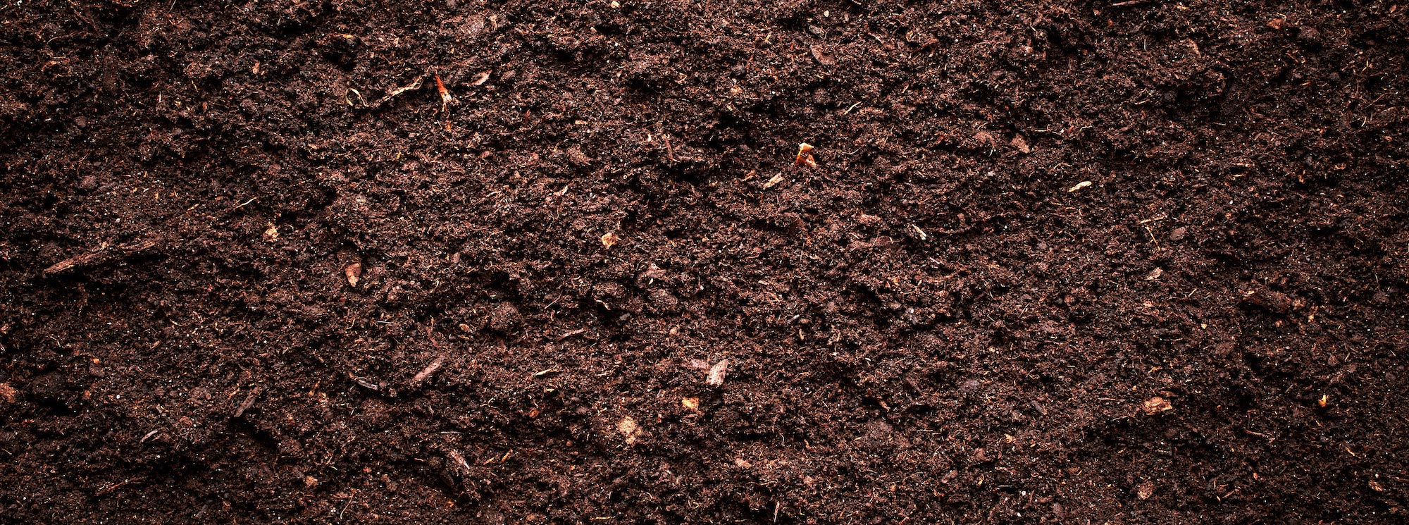 Detail Soil Images Nomer 12