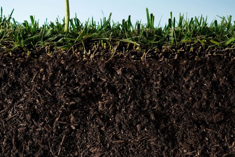 Detail Soil Images Nomer 20