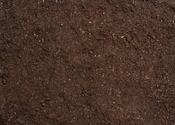 Detail Soil Images Nomer 21