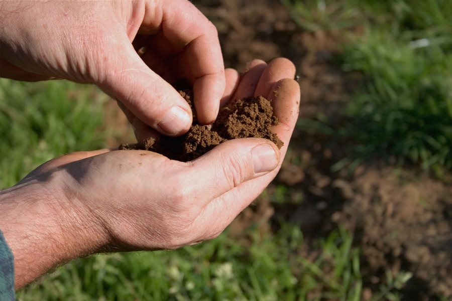 Detail Soil Images Nomer 32