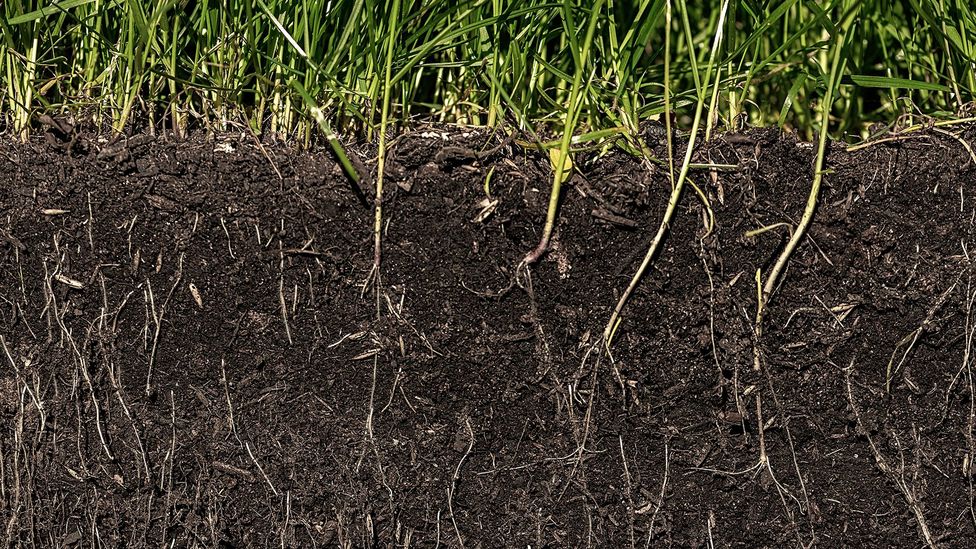 Detail Soil Images Nomer 4