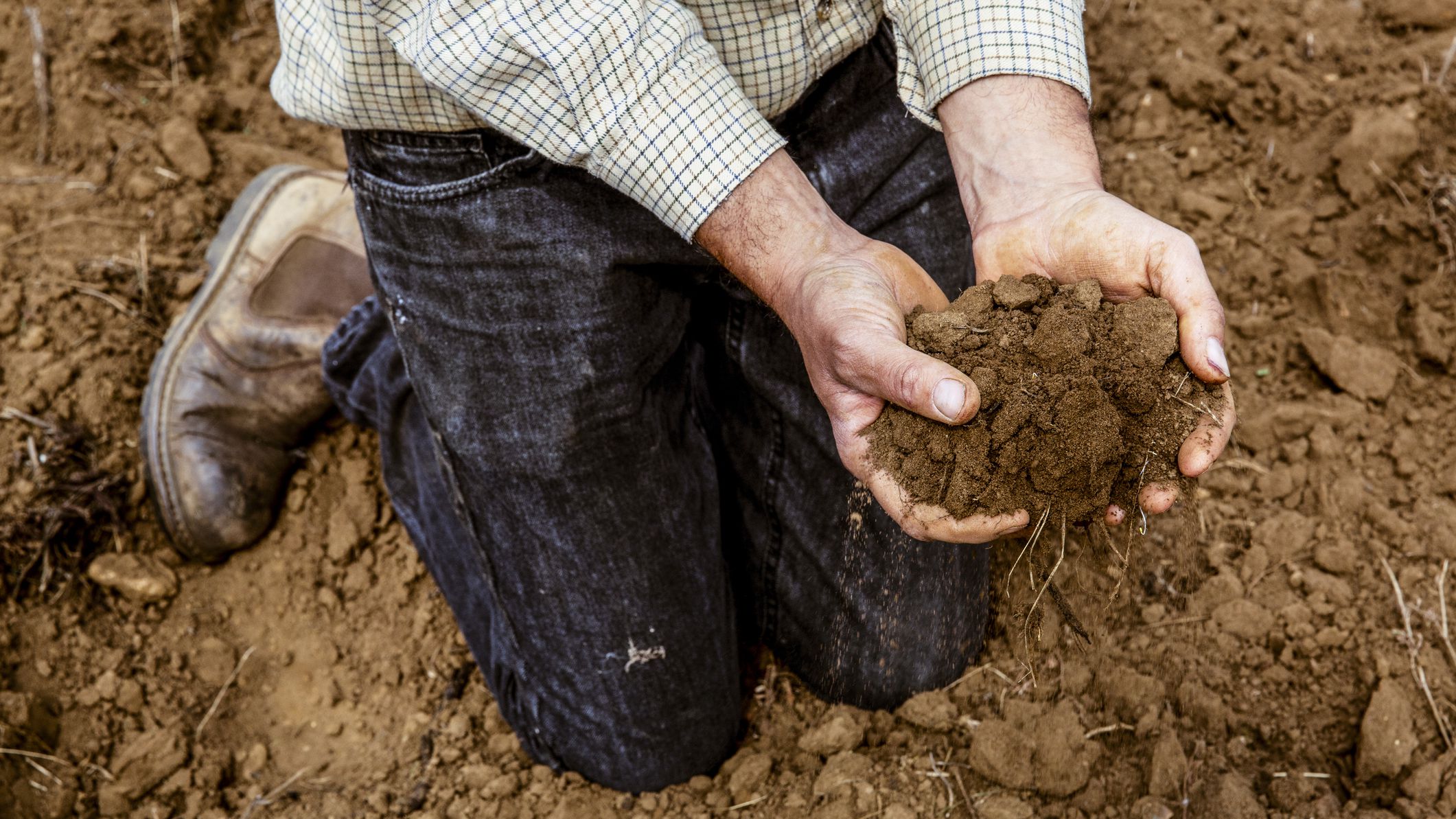 Detail Soil Images Nomer 39