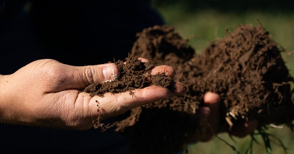 Detail Soil Images Nomer 42