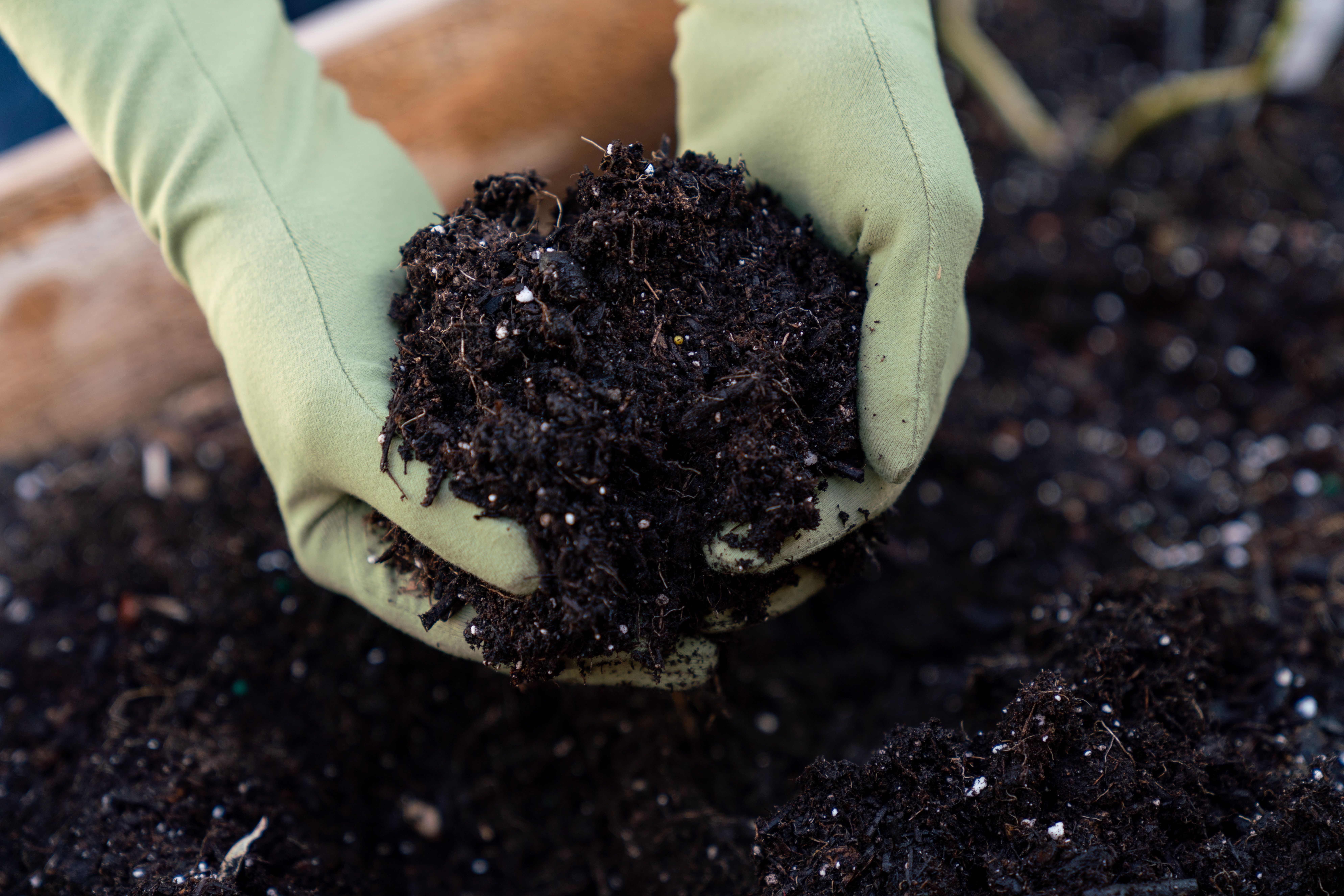 Detail Soil Images Nomer 47