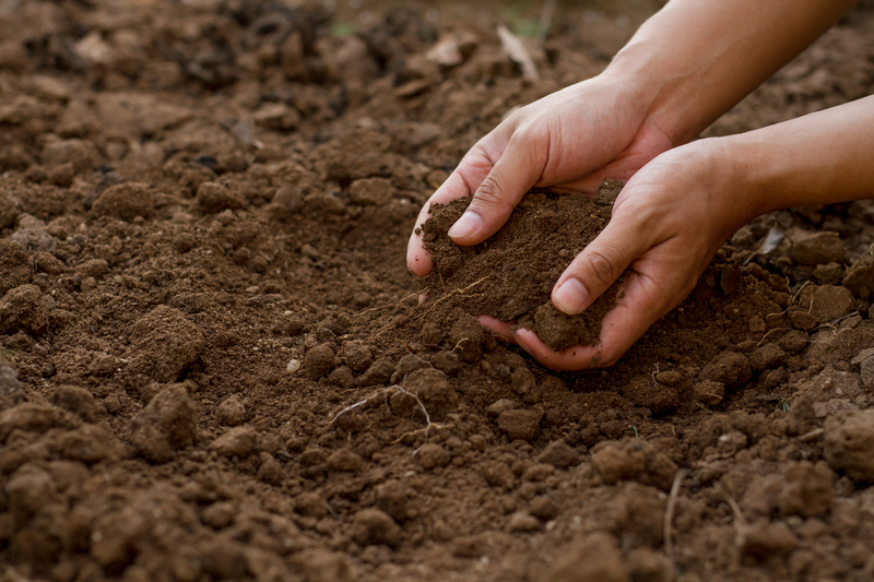 Detail Soil Pic Nomer 25