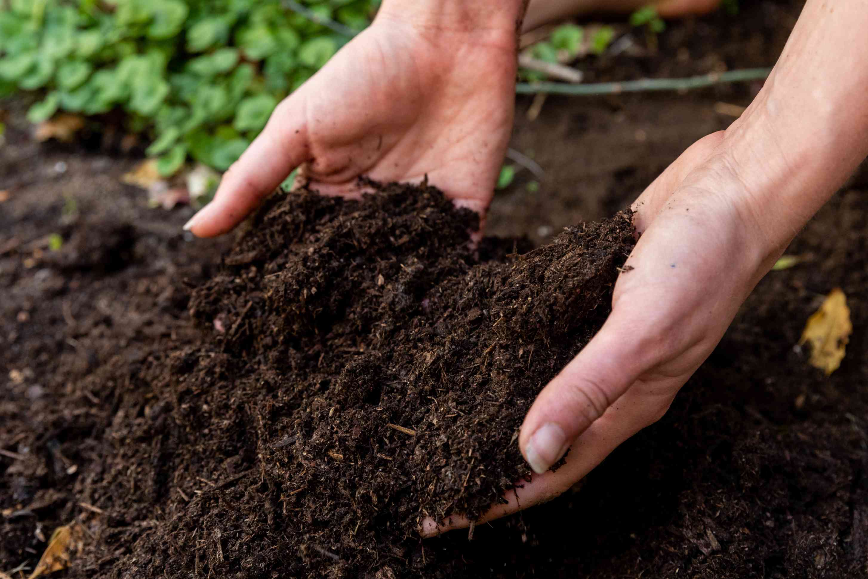 Detail Soil Pic Nomer 3