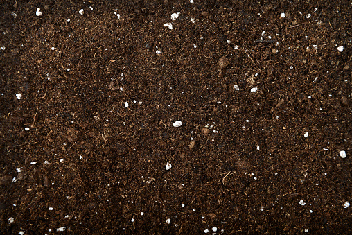 Detail Soil Pic Nomer 30