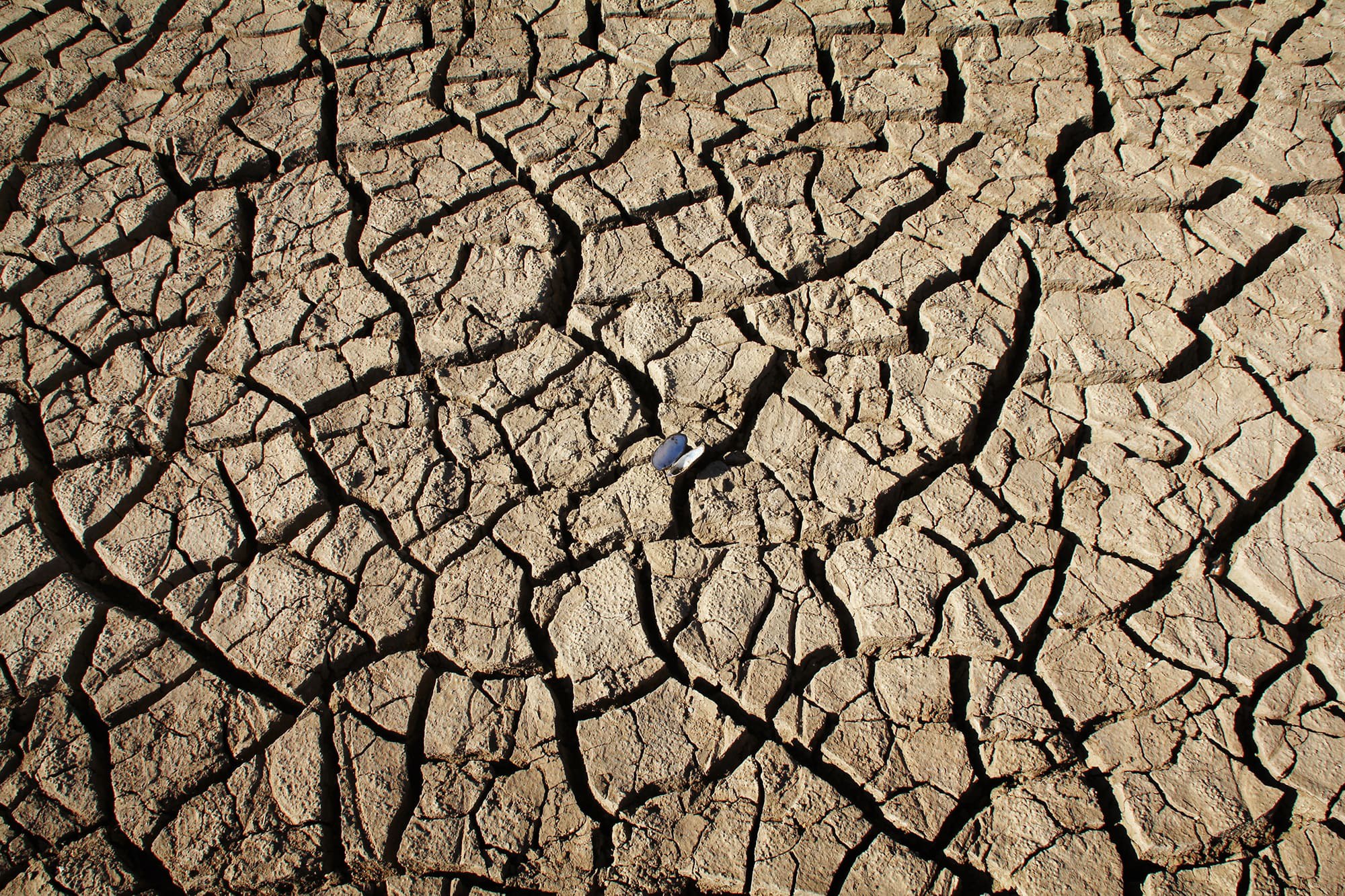 Detail Soil Pic Nomer 32