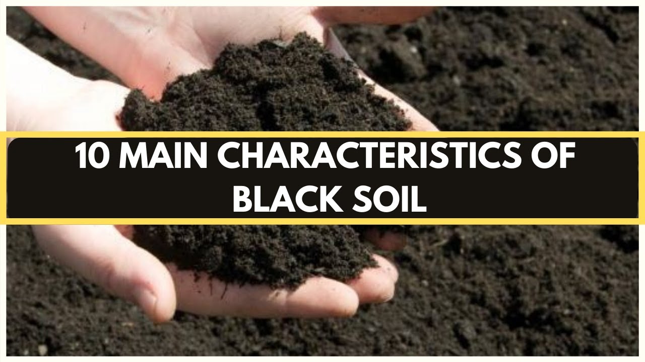 Detail Soil Pic Nomer 41