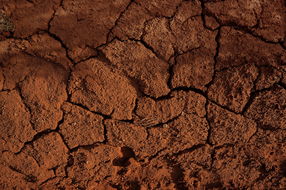 Detail Soil Pic Nomer 44