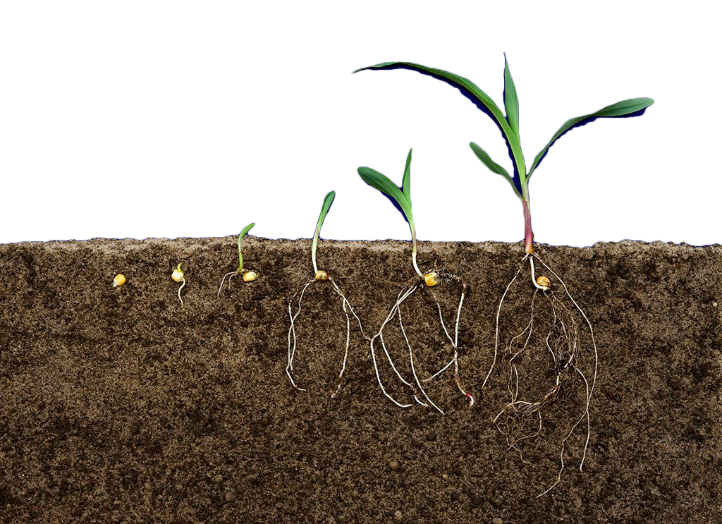 Detail Soil Png Nomer 30