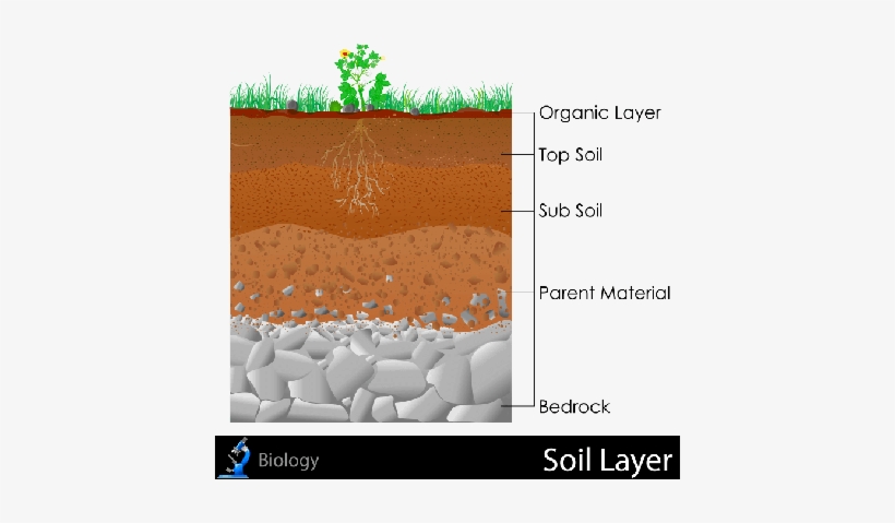 Detail Soil Png Nomer 31