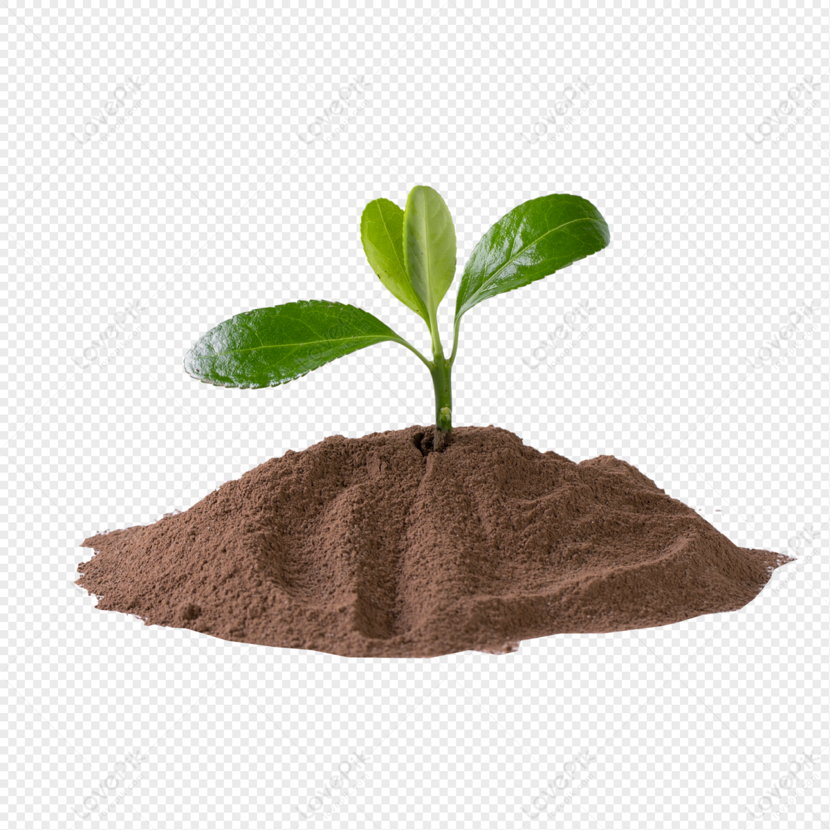 Detail Soil Png Nomer 32
