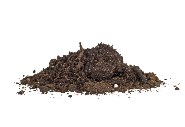 Detail Soil Png Nomer 36