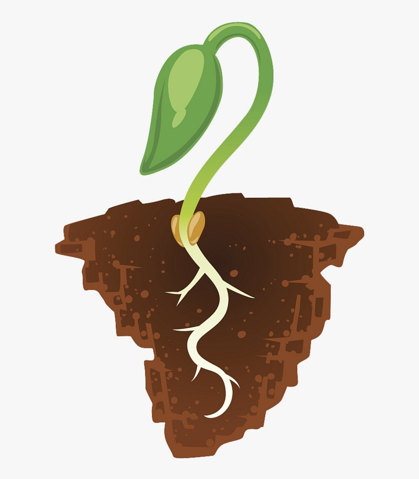 Detail Soil Png Nomer 41