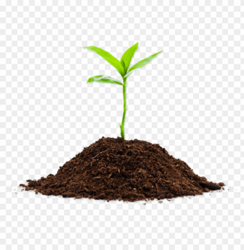 Detail Soil Png Nomer 9