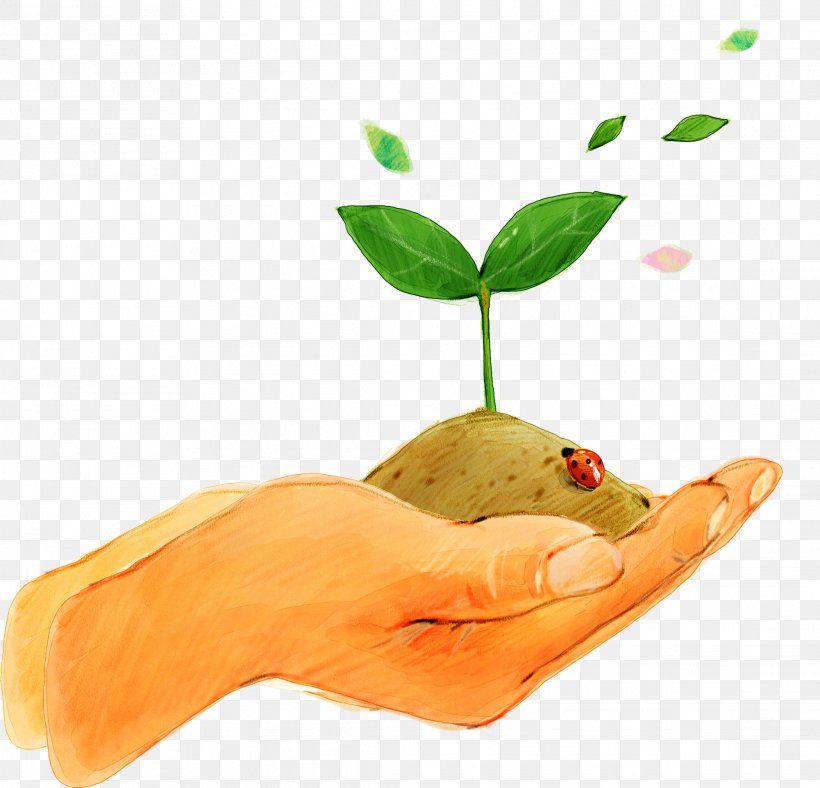 Detail Soil Vector Png Nomer 17