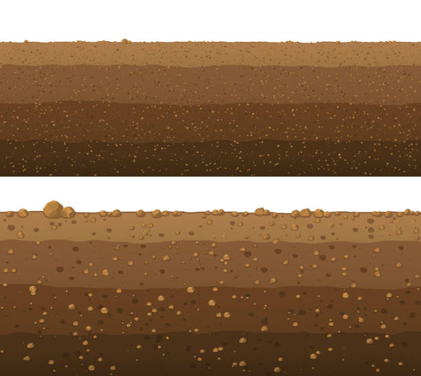 Detail Soil Vector Png Nomer 18
