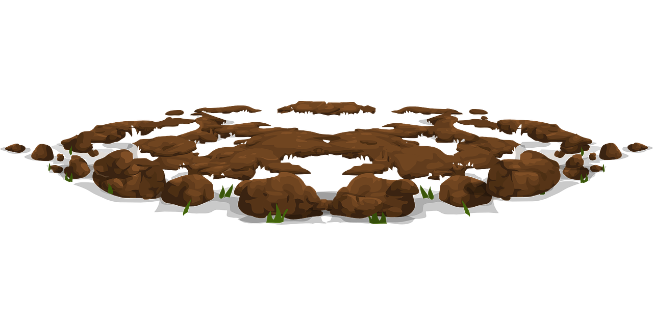 Detail Soil Vector Png Nomer 20