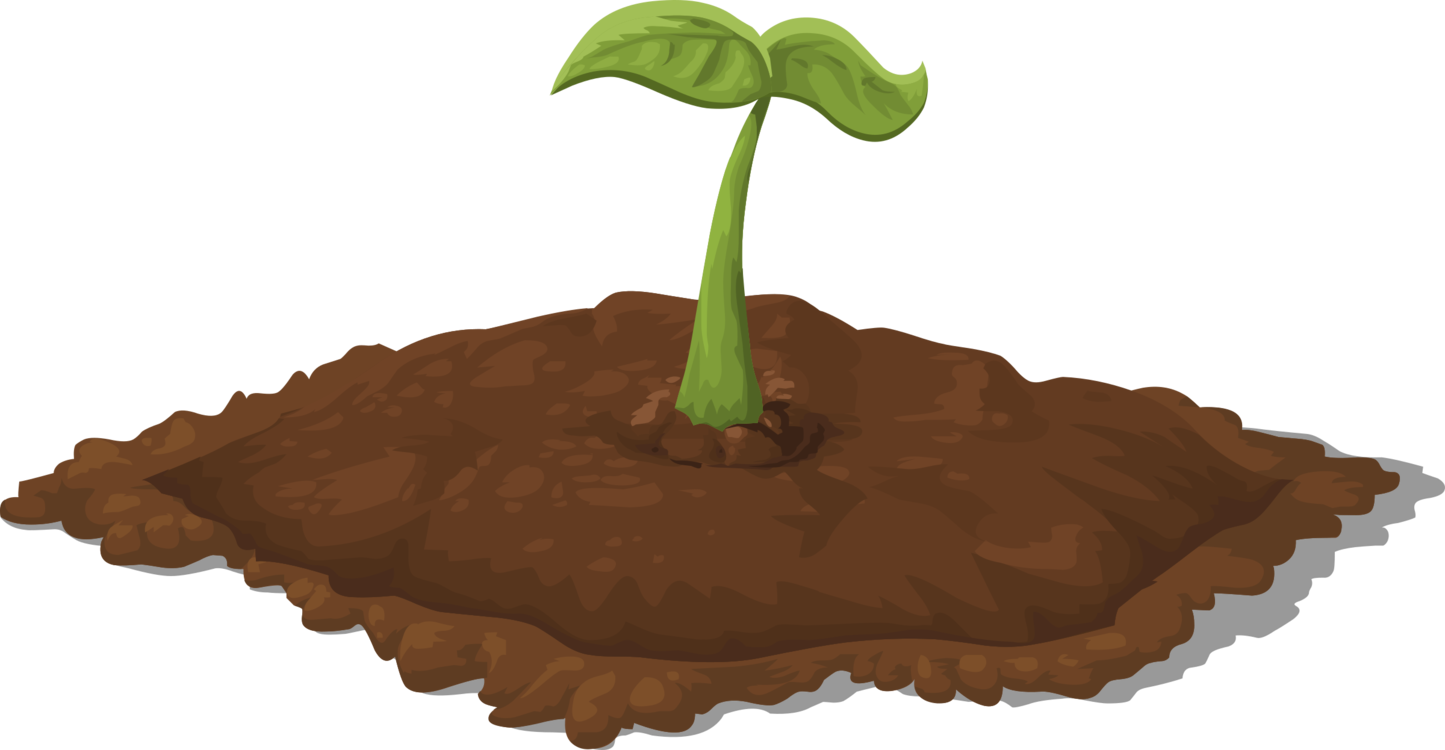 Detail Soil Vector Png Nomer 25