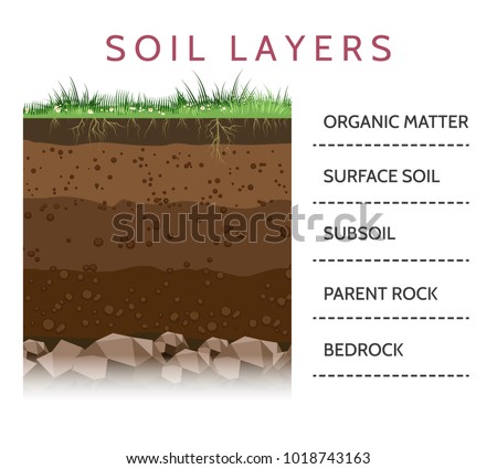 Detail Soil Vector Png Nomer 40
