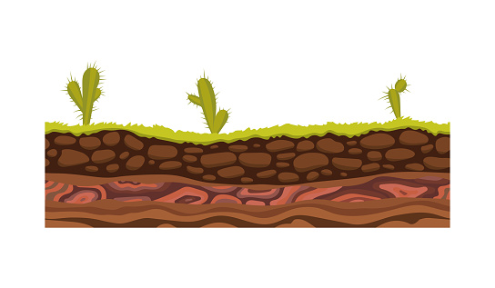 Detail Soil Vector Png Nomer 47