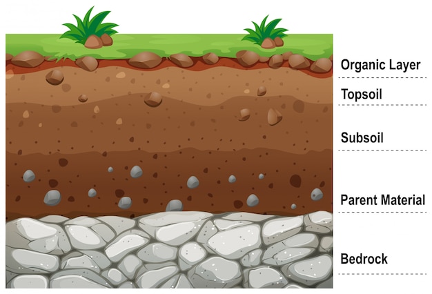 Detail Soil Vector Png Nomer 49
