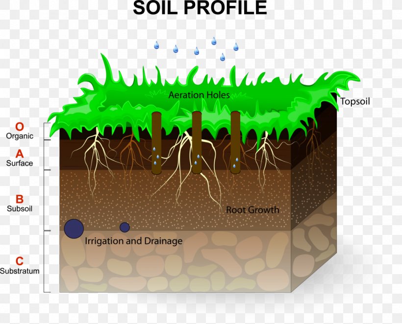 Detail Soil Vector Png Nomer 50