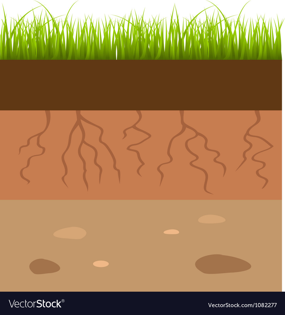 Detail Soil Vector Png Nomer 51