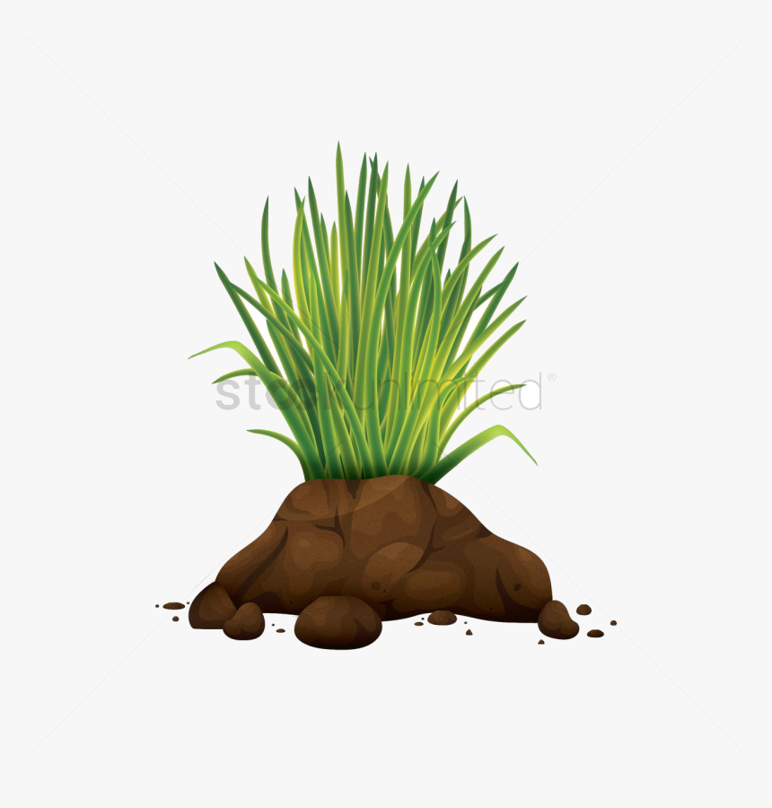 Detail Soil Vector Png Nomer 7