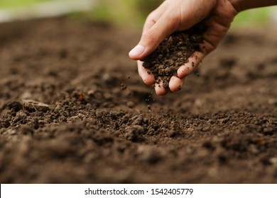 Detail Soil Wallpaper Nomer 17