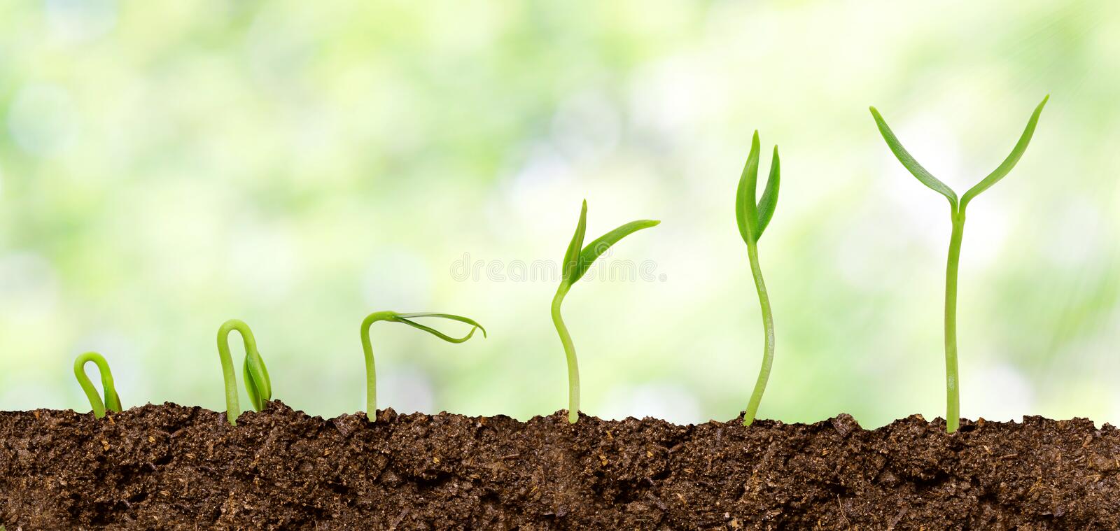Detail Soil Wallpaper Nomer 25