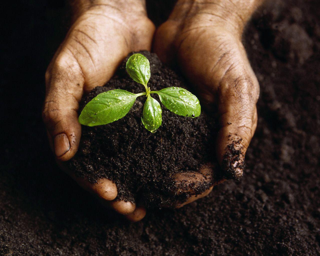 Detail Soil Wallpaper Nomer 4