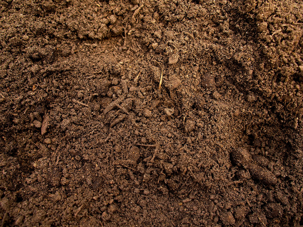 Detail Soil Wallpaper Nomer 26
