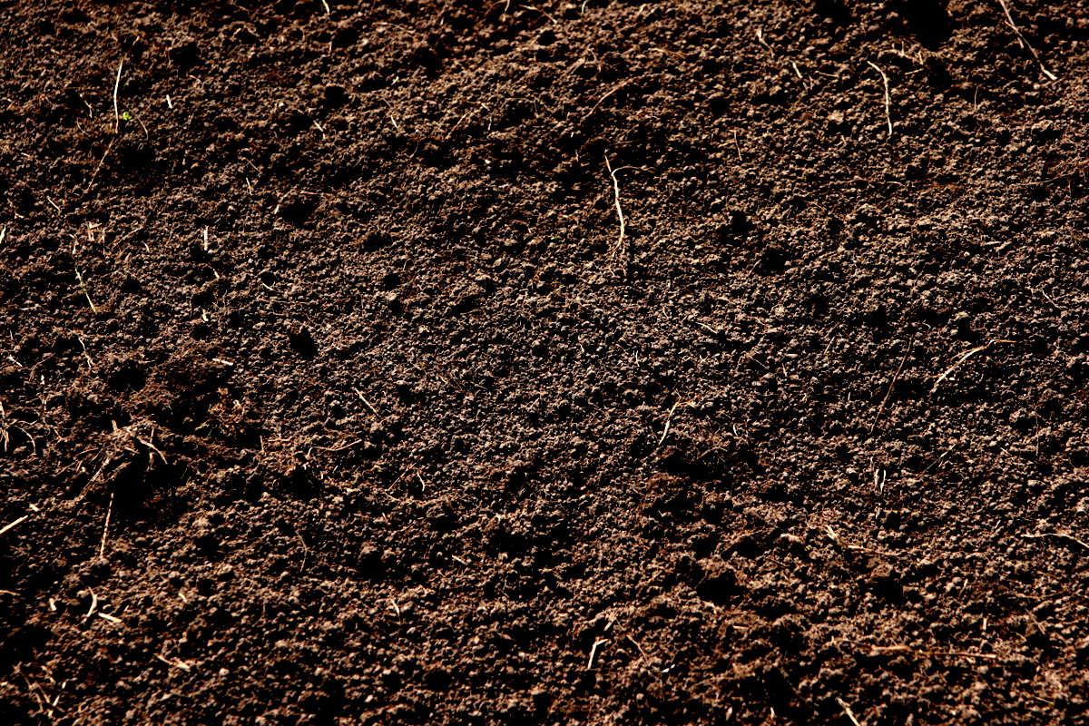 Detail Soil Wallpaper Nomer 37