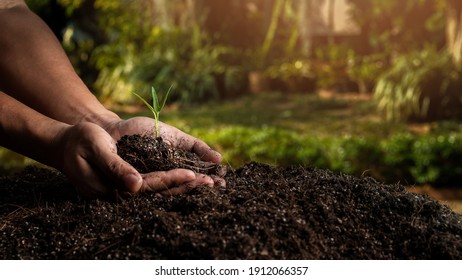 Detail Soil Wallpaper Nomer 38