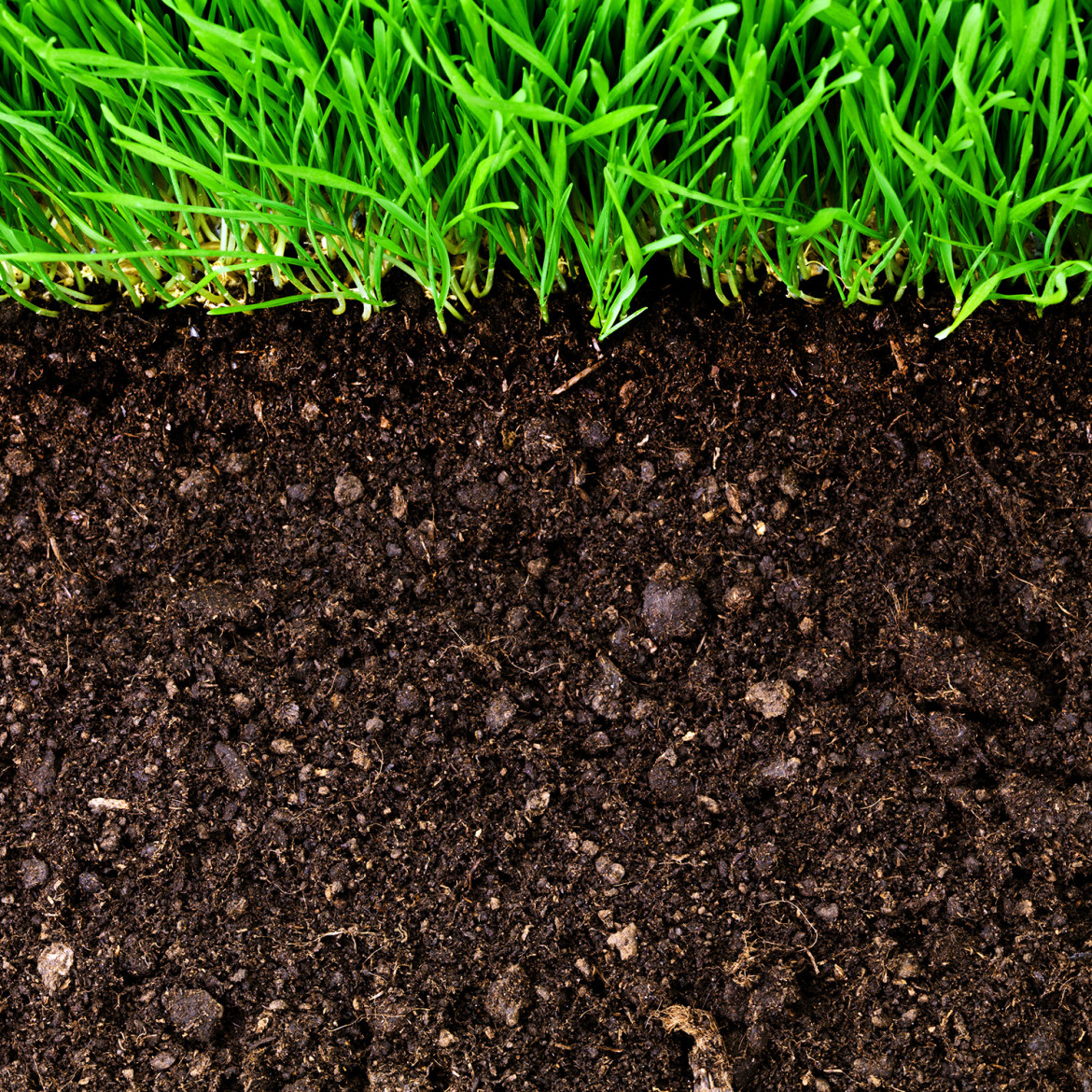 Detail Soil Wallpaper Nomer 39