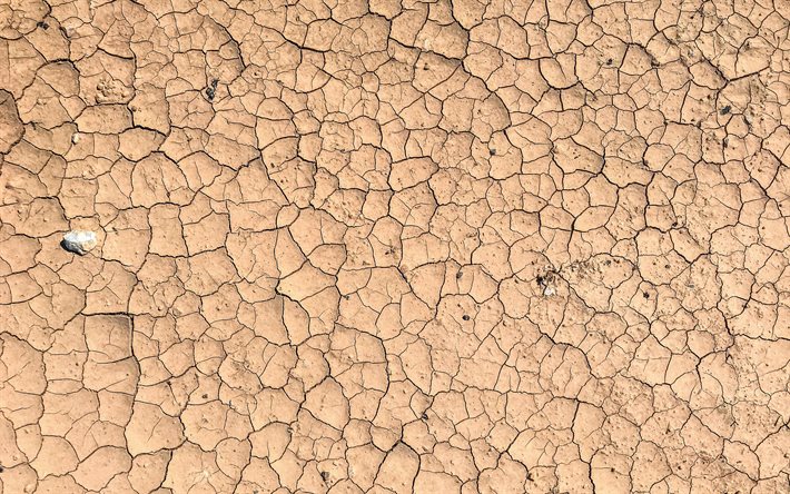 Detail Soil Wallpaper Nomer 40