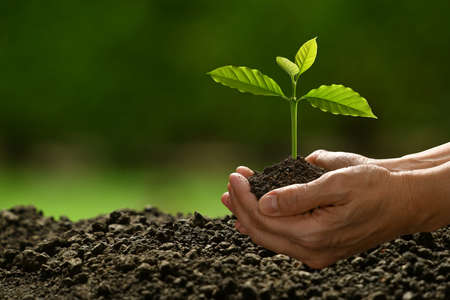 Detail Soil Wallpaper Nomer 44