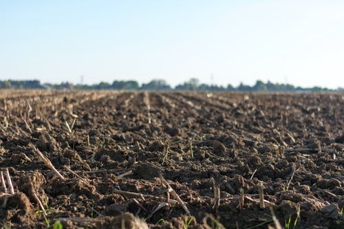 Detail Soil Wallpaper Nomer 9