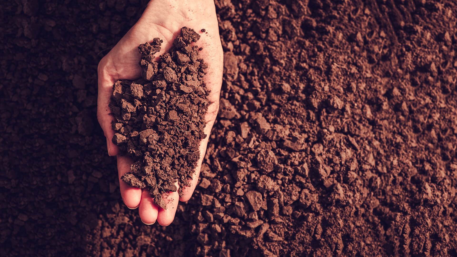 Detail Soil Wallpaper Nomer 10