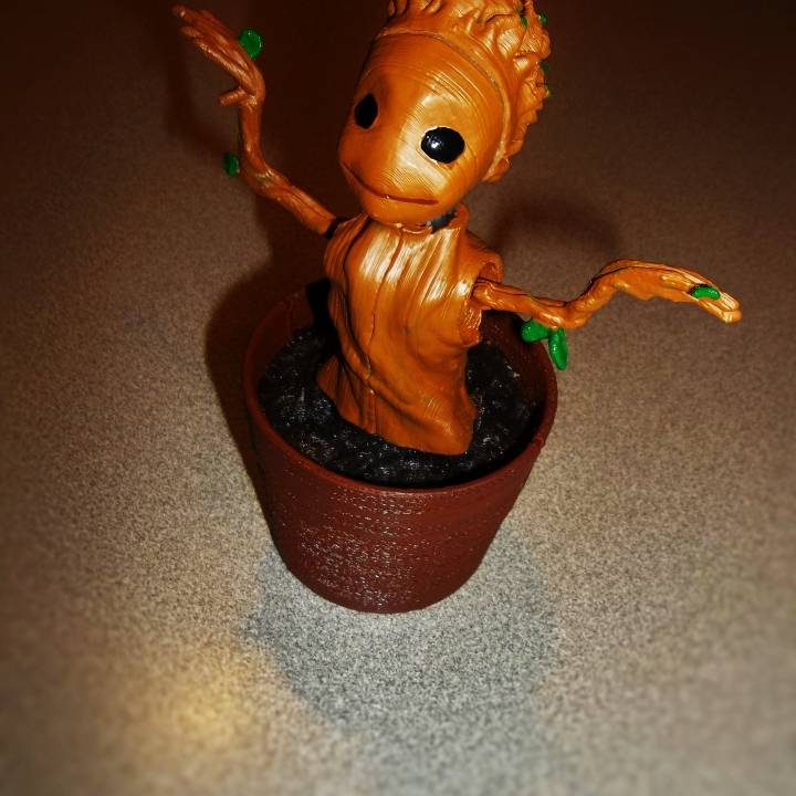 Detail Solar Dancing Groot Nomer 12