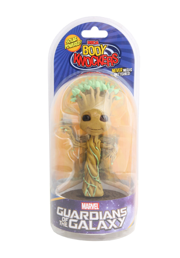 Detail Solar Dancing Groot Nomer 15